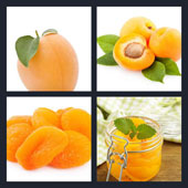 Apricot 