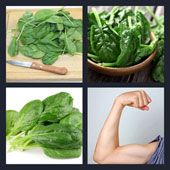  Spinach 