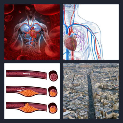  Artery 