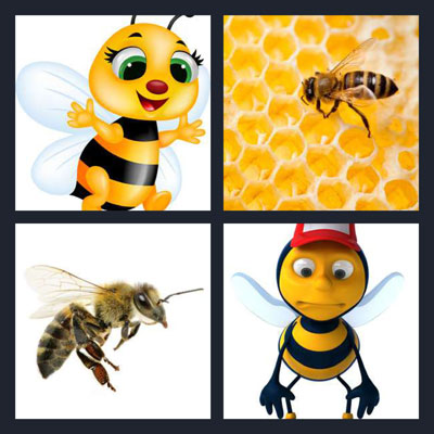  Bee 