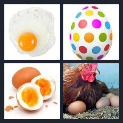  Egg 