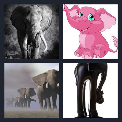  Elephant 