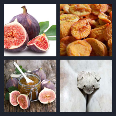  Fig 
