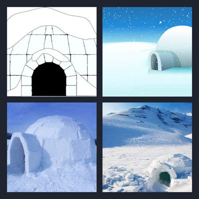  Igloo 