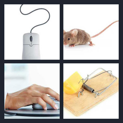  Mouse 