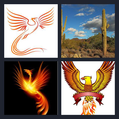  Phoenix 