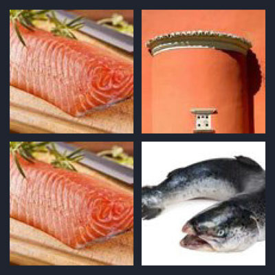  Salmon 
