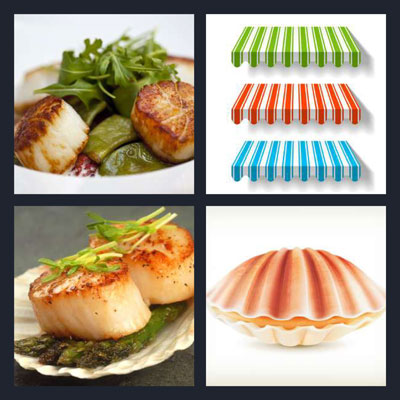  Scallop 