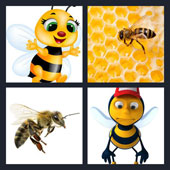  Bee 