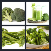  Broccoli 