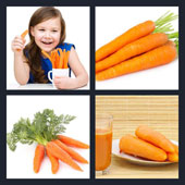  Carrot 