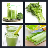 Celery 