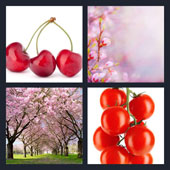  Cherry 
