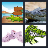  Croc 