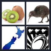  Kiwi 