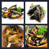  Mussels 