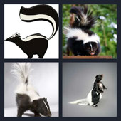  Skunk 