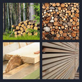  Timber 