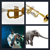  Trumpet 